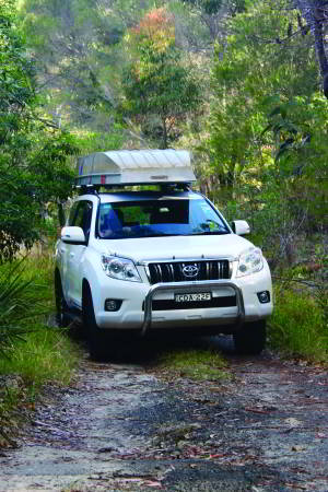 Victoria's Hopkins River provides some good sport fishing options for loclas in the know. Image: Tim Vincent